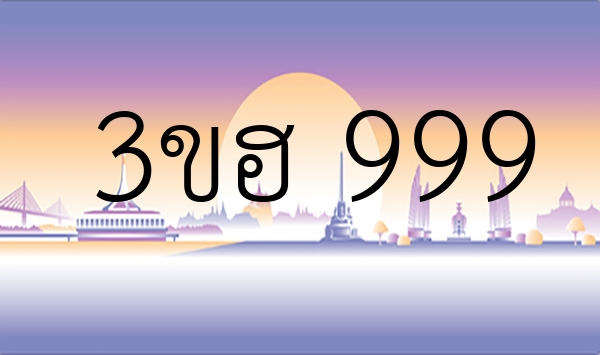 3ขฮ 999